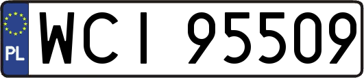 WCI95509