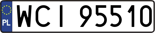WCI95510