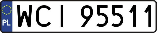 WCI95511