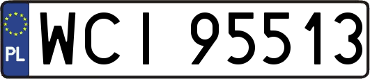 WCI95513