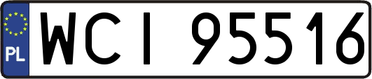 WCI95516