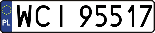 WCI95517