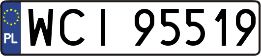WCI95519