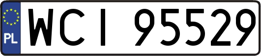 WCI95529
