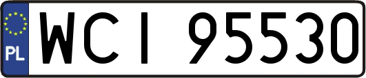 WCI95530