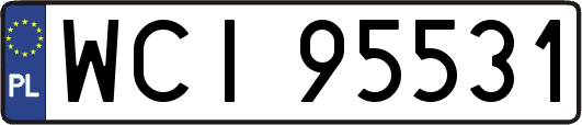 WCI95531