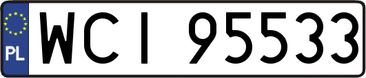 WCI95533