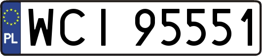 WCI95551