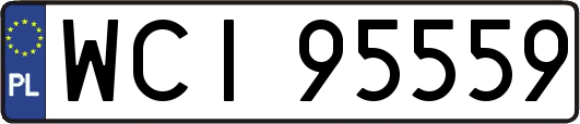 WCI95559