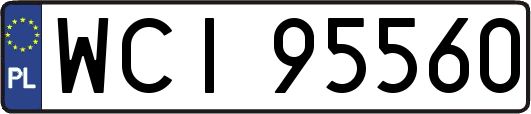 WCI95560