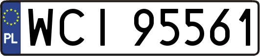 WCI95561