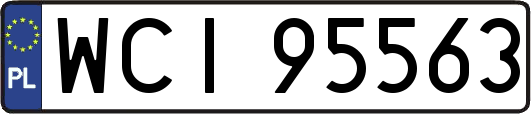 WCI95563