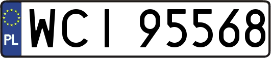 WCI95568