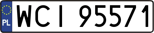WCI95571