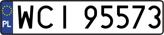 WCI95573
