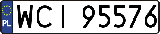 WCI95576