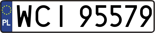 WCI95579