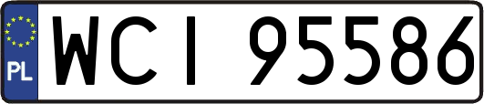 WCI95586