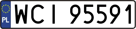 WCI95591