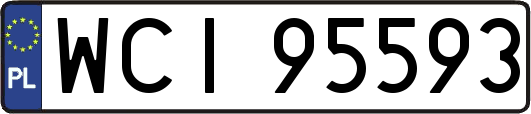 WCI95593