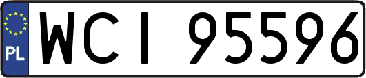 WCI95596