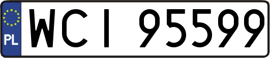 WCI95599