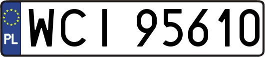 WCI95610