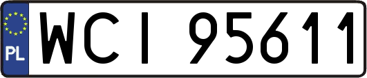 WCI95611