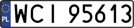 WCI95613