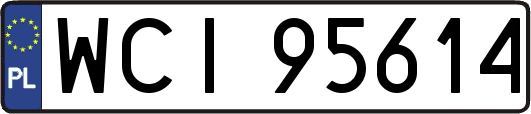 WCI95614