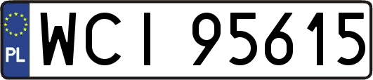 WCI95615