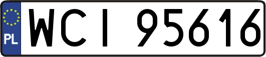 WCI95616