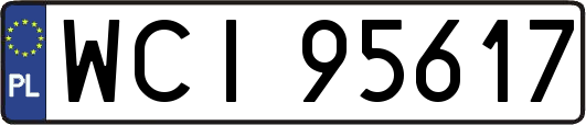 WCI95617