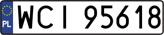 WCI95618