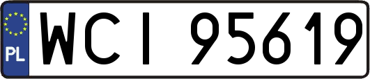 WCI95619