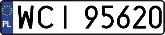 WCI95620
