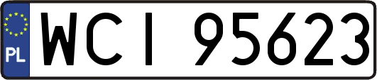 WCI95623