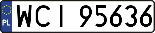 WCI95636