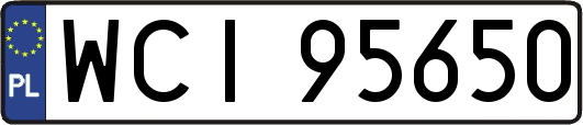 WCI95650