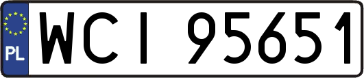 WCI95651