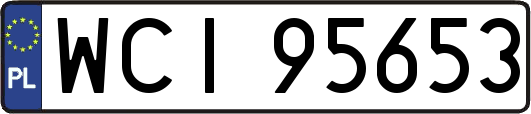 WCI95653