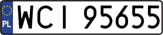 WCI95655