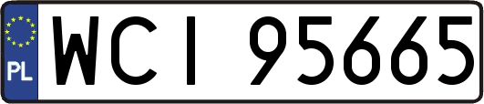 WCI95665