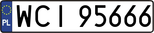 WCI95666