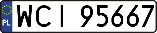 WCI95667
