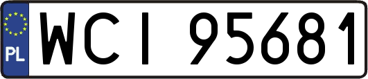 WCI95681