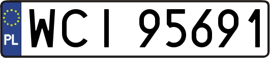 WCI95691