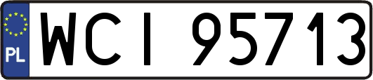 WCI95713