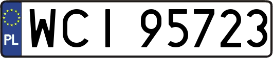 WCI95723