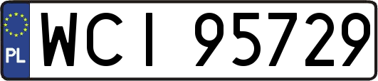 WCI95729